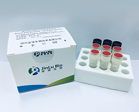 慢性淋巴细胞白血病染色体及基因异常检测试剂盒